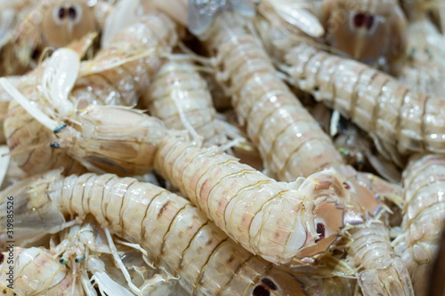 Photo of squilla mantis seafood on the bench. photo