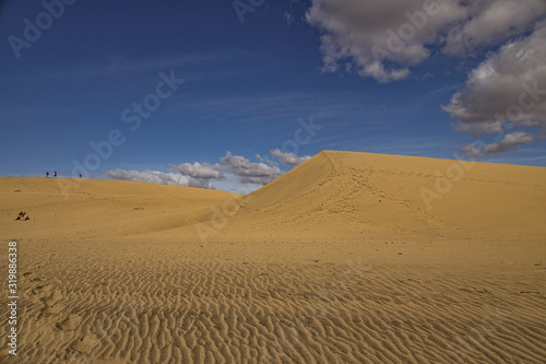 summer desert landscape on a warm sunny day from Maspalomas dunes on the Spanish island of Gran Canaria