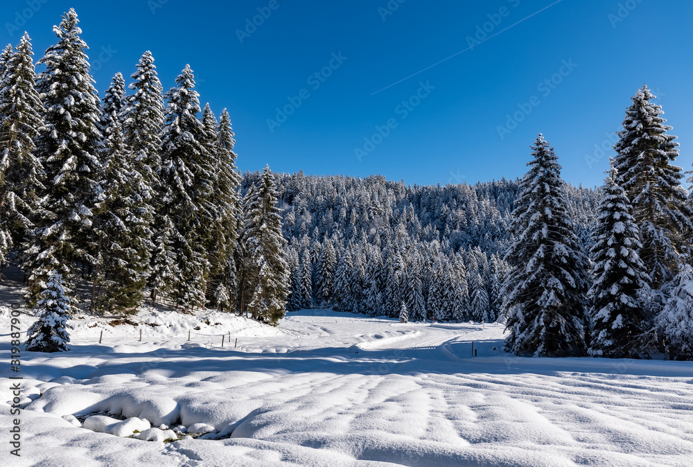 Fototapeta premium Leutasch, Winterlandschaft