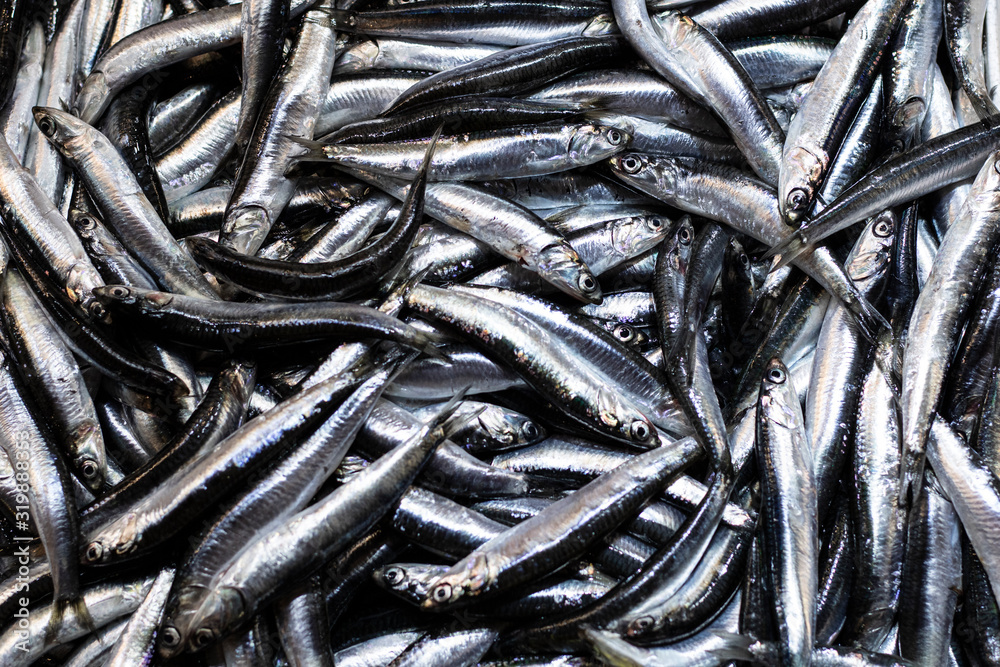 Heap of small Mediterranean anchovy fish at market. In a white box. Close up. Heap of small Mediterranean anchovy fish at market. In a white box. Close up.