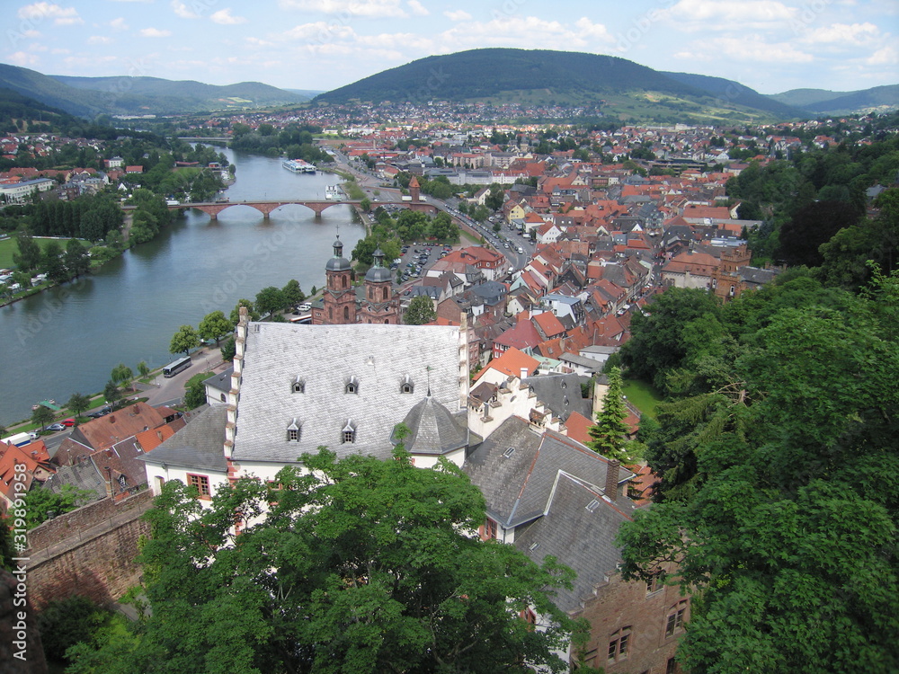 Blick von der Mildenburg auf Miltenberg mit Main