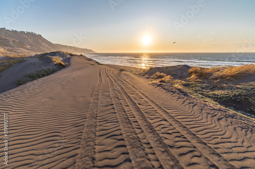 Fototapeta Naklejka Na Ścianę i Meble -  4WD car track in a wild beach sand dune going towards an endless infinite horizon during sunset time at the Chilean coastline in Pupuya beach, an amazing place for visiting and having a wonderful day
