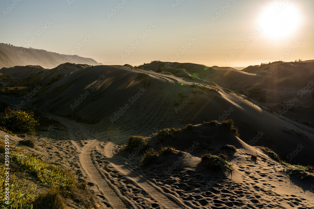 Amazing sunset over the water view in the Chilean coast. An idyllic beach scenery with the sunlight illuminating the sand dunes with orange colors creating a moody atmosphere in a wild scenery
