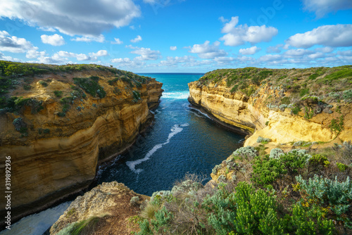 mutton bird island, great ocean road in victoria, australia