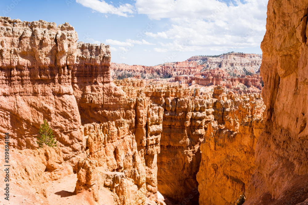 Rock formations at Bryce Canyon National Park on the way down on Navajo Loop trail - Utah, USA Rock formations at Bryce Canyon National Park on the way down on Navajo Loop trail - Utah, USA