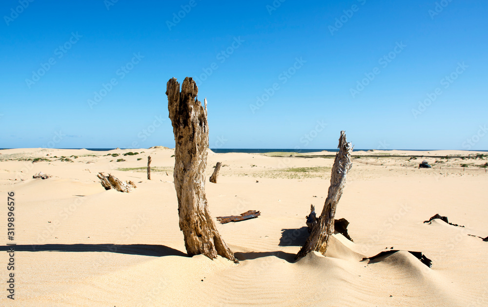 Sand dunes by the sea, Anna Bay Austra Sand dunes by the sea, Anna Bay Austra