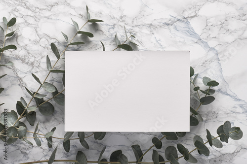 Beautiful abstract floral background. Flat lay, top view eucalyptus on marble background, flat lay on light textured stone table surface. Minimal concept. Background decoration. Trendy decor.