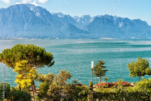 Plants blossoming at the promenade of Geneva Lake in Montreux, Swiss Riviera