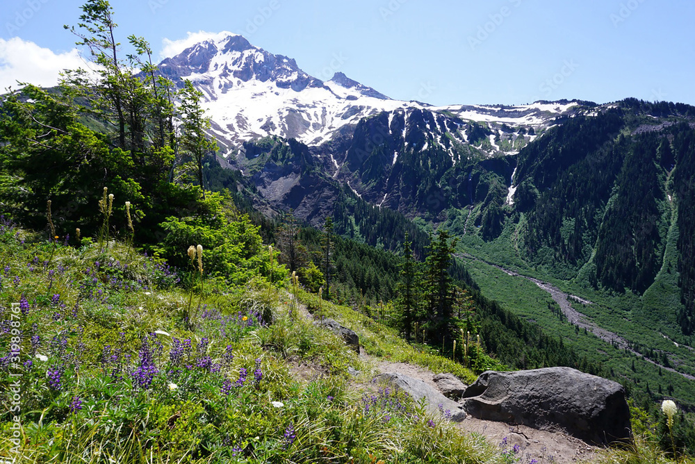 Mount Hood in the summer, Oregon