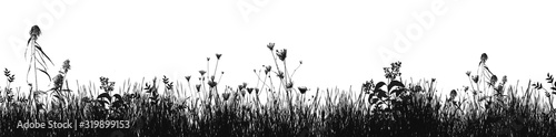 Fototapeta Grass natural silhouette as background