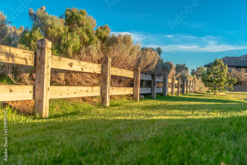 Fotografia, Obraz Brown wooden low fence on a lush green field against thick bushes and shrubs
