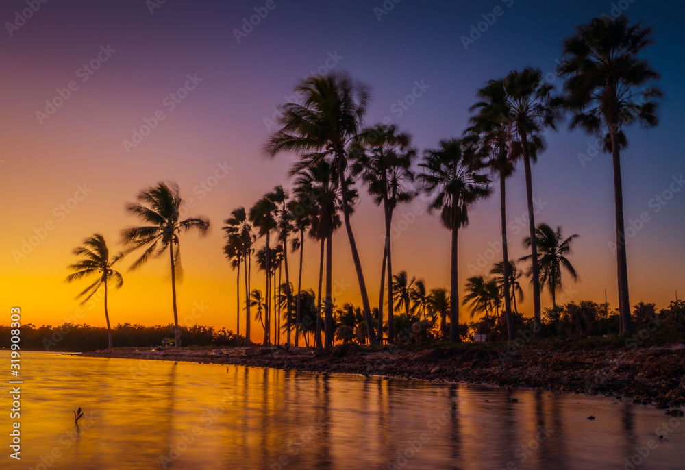 tropical sunset beach palm sky sunrise silhouette ocean landscape sun traveling nature florida miami dusk coconut
