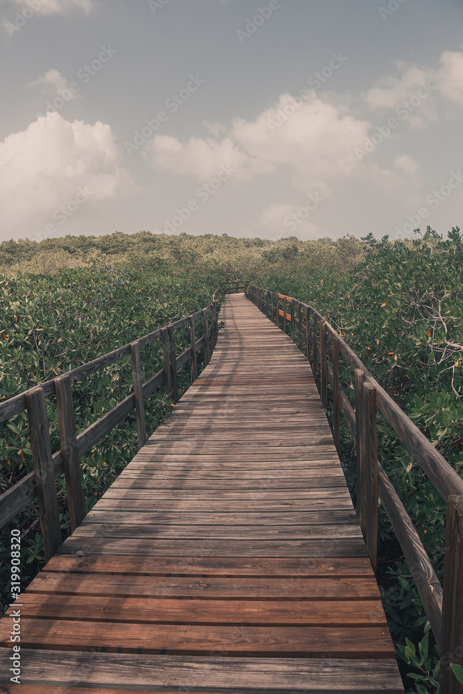 wooden path to the sea