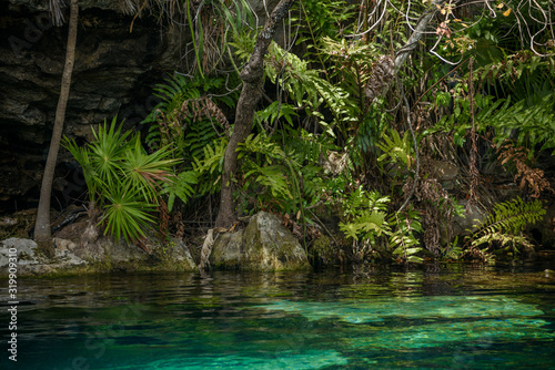 The Crystal Cenote in Quintana Roo , Mayan Riviera, Mexico is a natural area where you can find 3 open cenotes that include 1 small cave, ideal for snorkeling