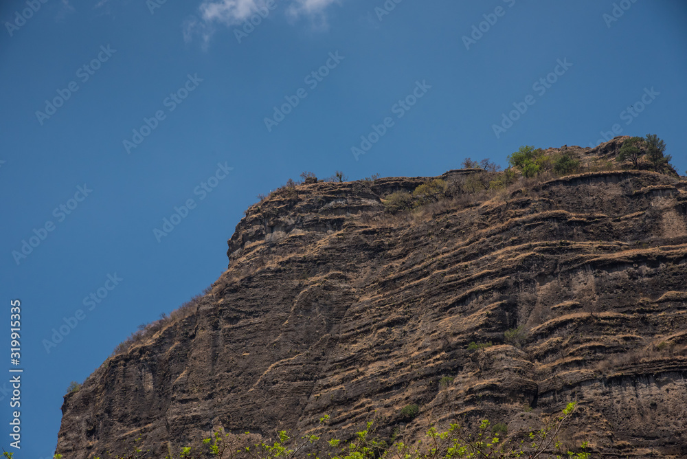 Natural View Vegetation And Rocks in Tepoztlan Mexico