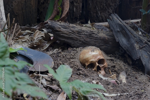 Skull and bones digged from pit in the scary graveyard / Still life and selective focus