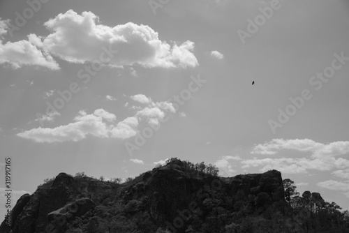 Natural View Vegetation And Rocks in Tepoztlan Mexico photo