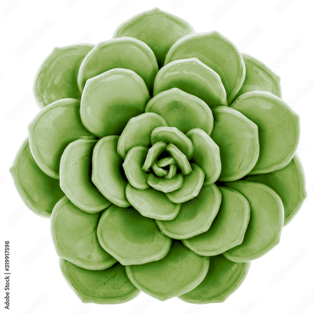 green leaves on white background green leaves on white background
