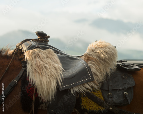 Ecuadorian Saddle at The Local Rodeo photo