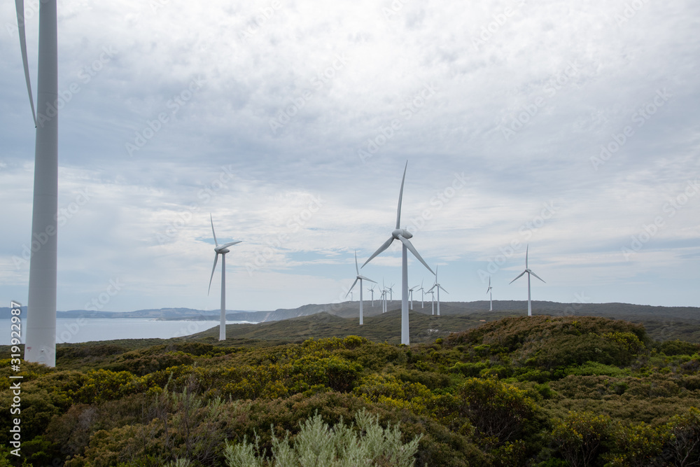 Obraz premium wind turbine