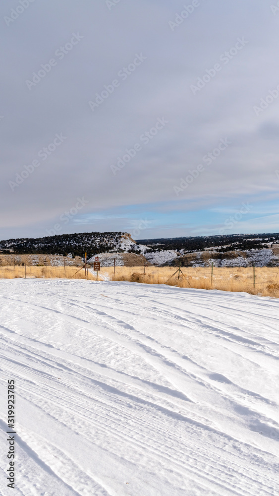 Vertical frame Close up of fresh white snow covering an expansive terrain during winter season Vertical frame Close up of fresh white snow covering an expansive terrain during winter season