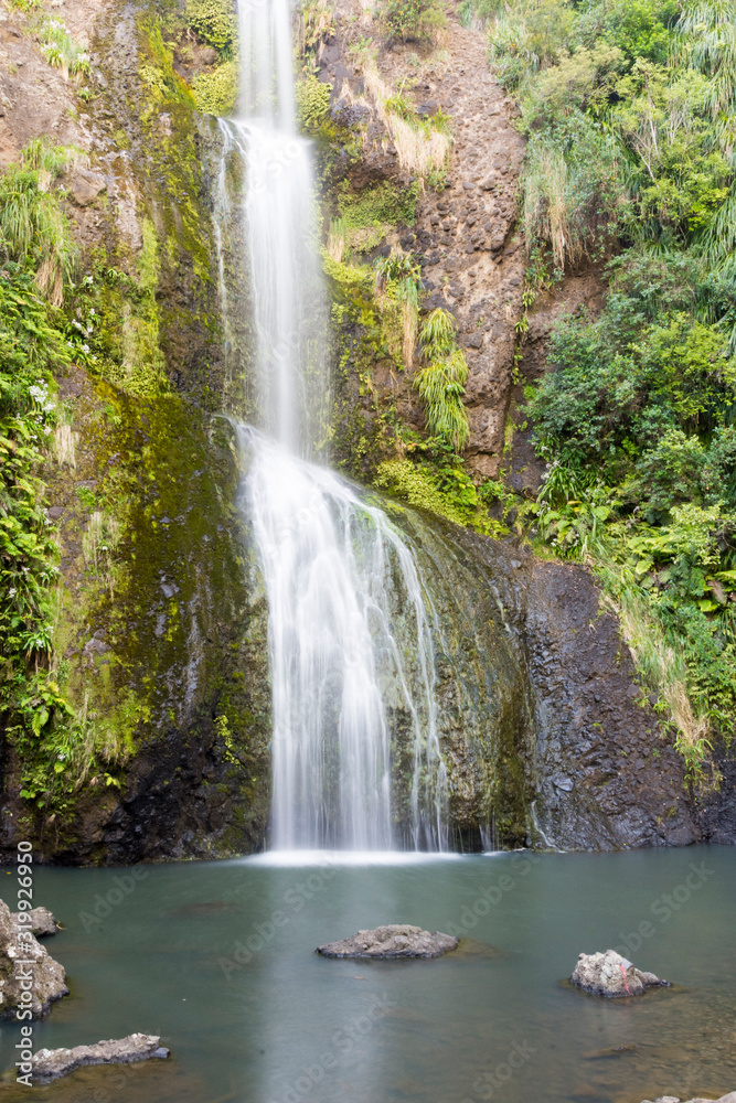 Fototapeta premium wodospad w lesie