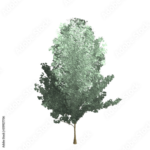 Short ginko tree graphic picture. Three-dimensional light and shadow design. For decorating the garden and forest.