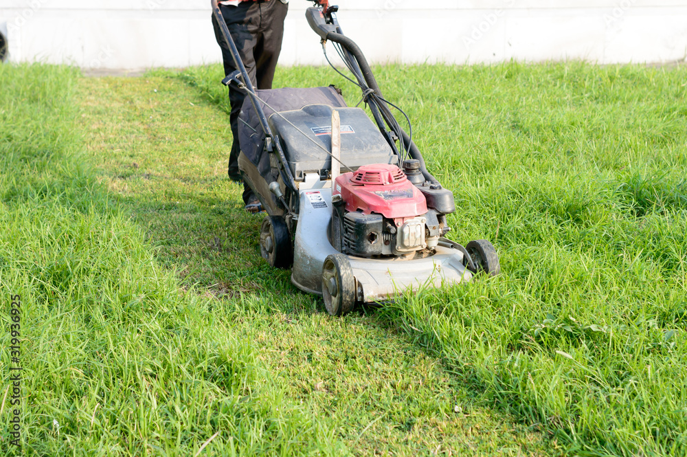 Fototapeta premium An Electric Rotary lawn mower machine (mower, grass cutter or lawnmower) for Mower, Cutting lawn areas. Motor powered lawn mower in use gardens parks for mowing of lawns to cut a grass surface.
