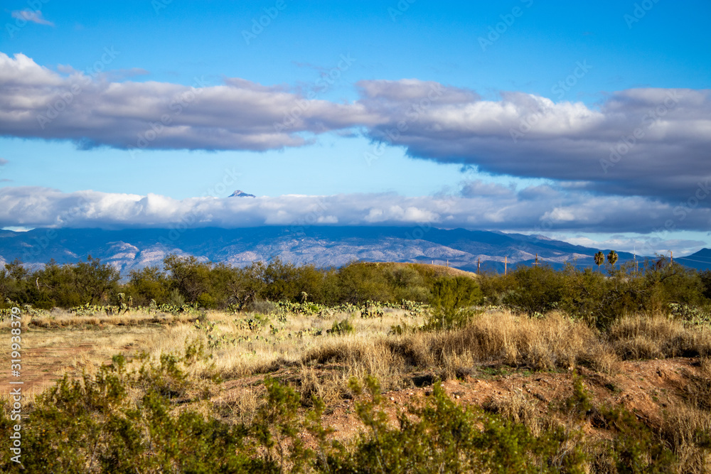 Desert fields and mountians