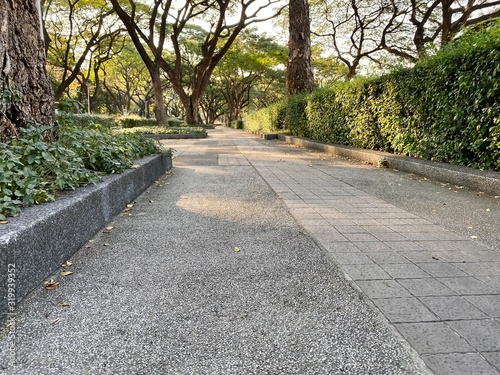brick walkway in the park with tree in Thailand