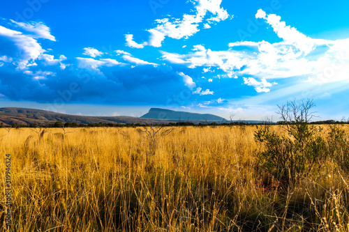 Australian Outback