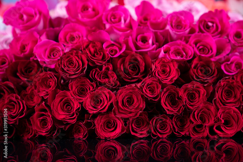Valentines day concept. Natural red and pink roses background.