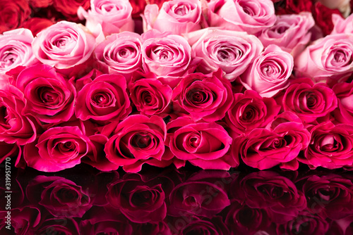 Valentines day concept. Natural red and pink roses background.