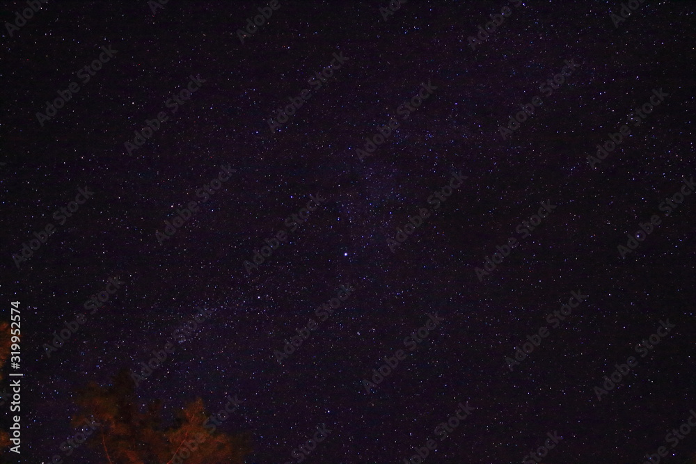 Innumerable stars in the Autumn sky with red leaves tree