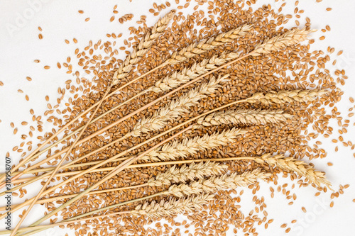 Spikelets of wheat on the grains of wheat. Dietary fiber