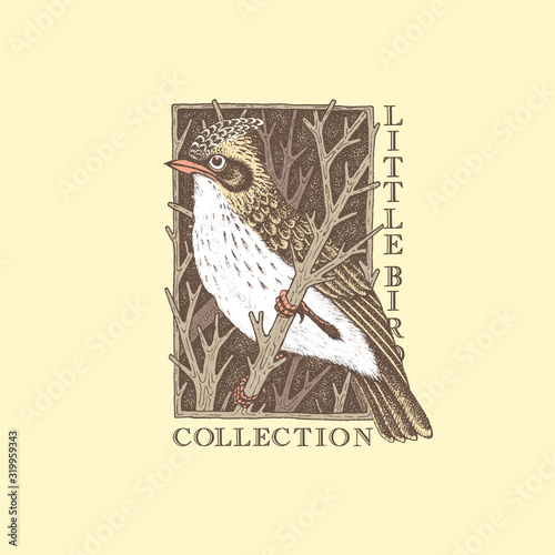 Vintage bird label