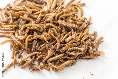 Photos Fried cricket larvae