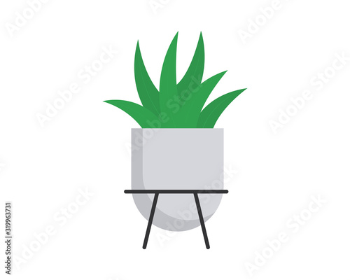 Evergreen succulent plant in pot. Home Plant in pot vector web icon isolated on white background, EPS 10, top view 
