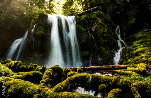 Waterfall in Forest - Oregon