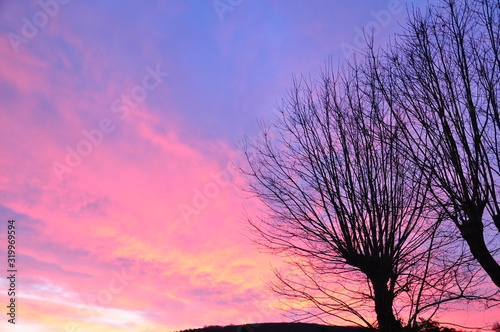 Very beautiful sky in pastel natural colors while sunset with branches of tree. 