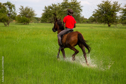 African horse rider