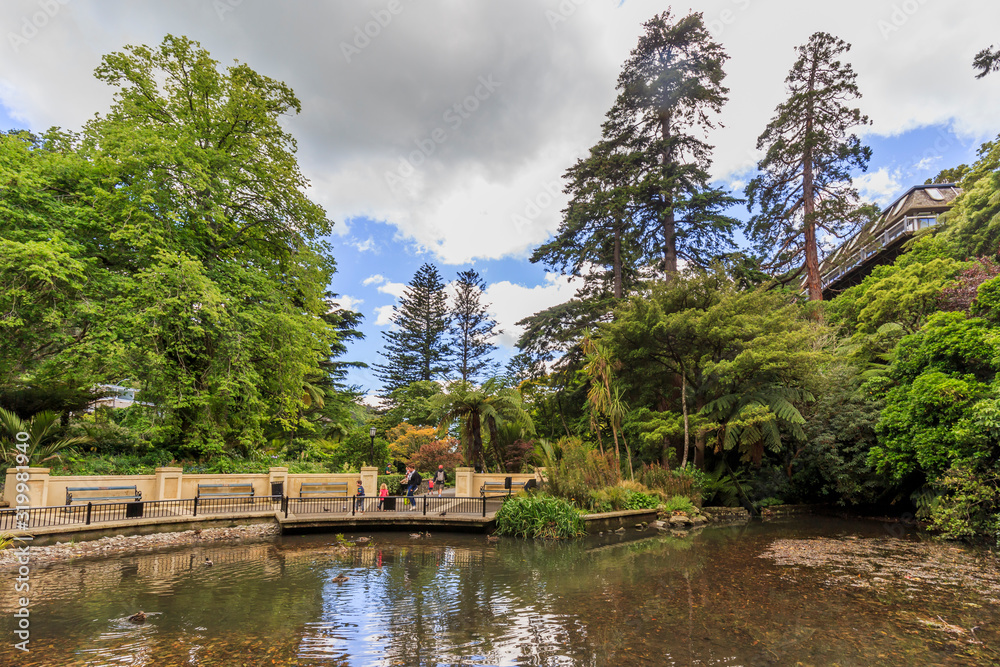 Wellington, New Zealand - November 09, 2019: Tourists at the Duck Pond at the Wellington Botanical garden, New Zealand