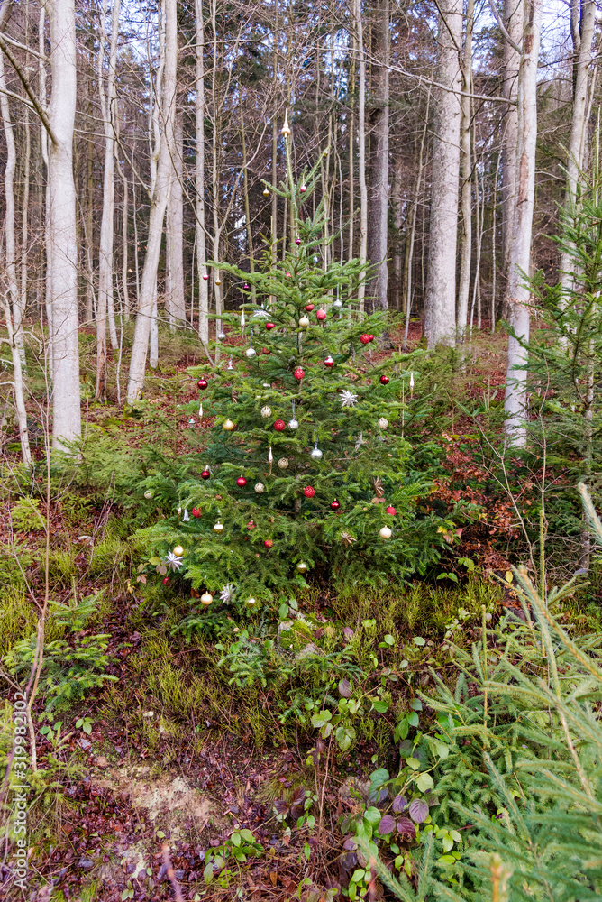 Fototapeta premium Grüne Weihnacht