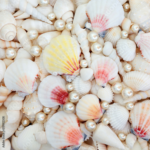 Abstract seashell selection with scallop, cockle, conch and turritella shells with oyster pearls forming a background. 