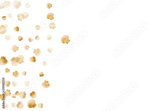 Gold seashells isolated, pearl bivalved mollusks