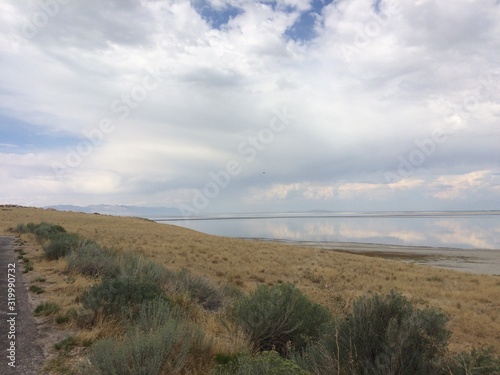 Antelope Island  Great Salt lake