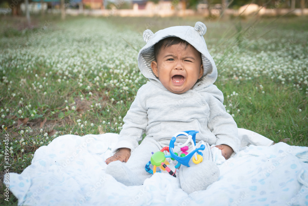 Cute little asina baby sitting at white flower garden Cute little asina baby sitting at white flower garden