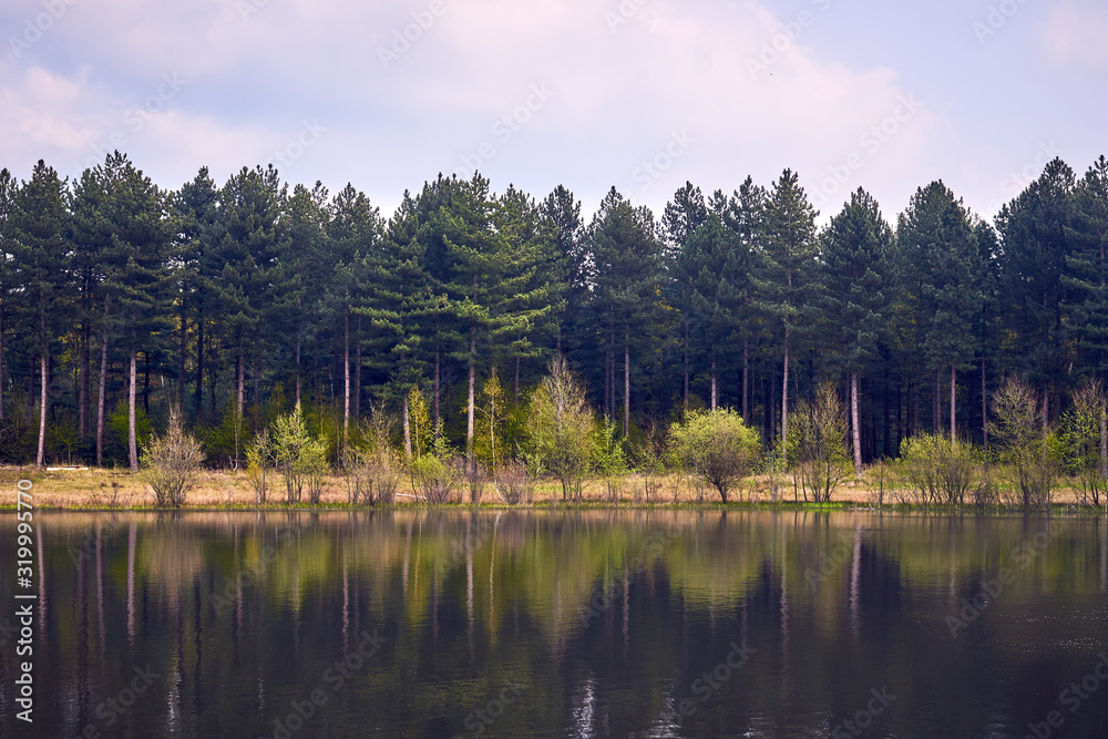 Landscape of Tevener Heide Natural Park with Lake, Spring Season , Germany, North Rhine-Westphalia