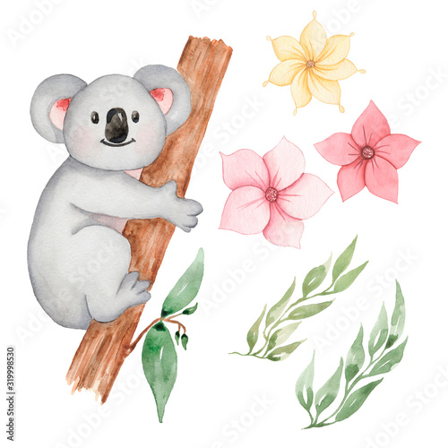 Canvas Print Watercolor Koala animal clipart
