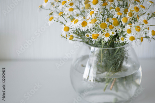 Fototapeta Naklejka Na Ścianę i Meble -  Bouquet of daisies in a vase. Beautiful wild chamomile in a glass vase on the white background. Minimalist home decoration detail.